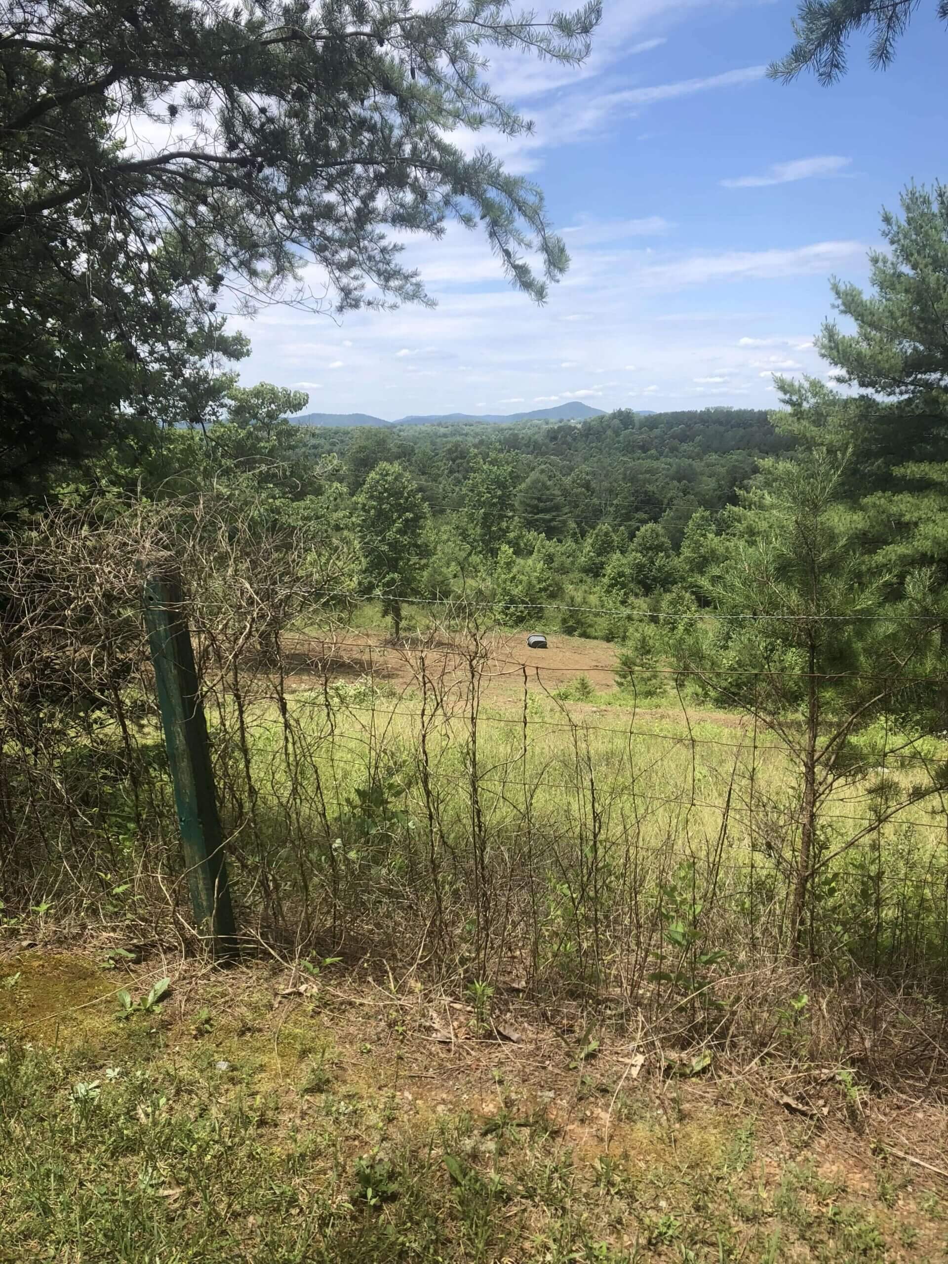 Affordable Tree Removal Shelby NC Affordable Tree Removal Shelby NC