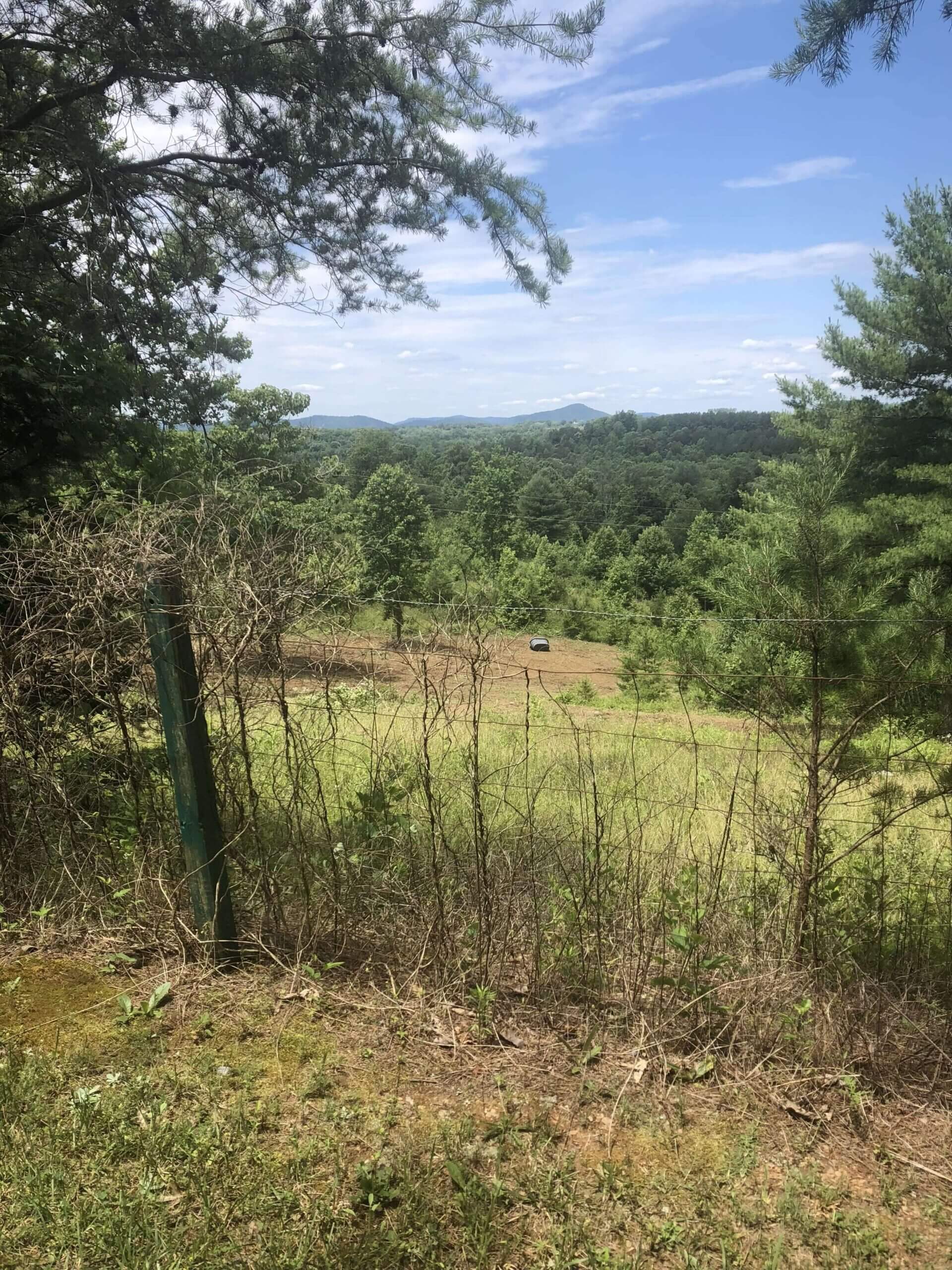 Big Acre Land Clearing Stump Removal Hickory